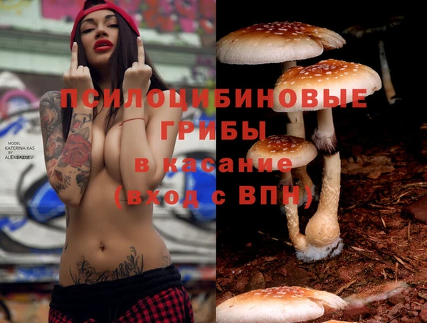 ГАЛЛЮЦИНОГЕННЫЕ ГРИБЫ Бугульма