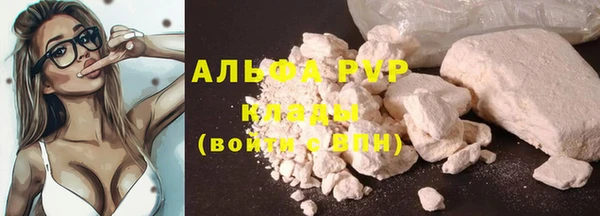 мдпв Верхний Тагил