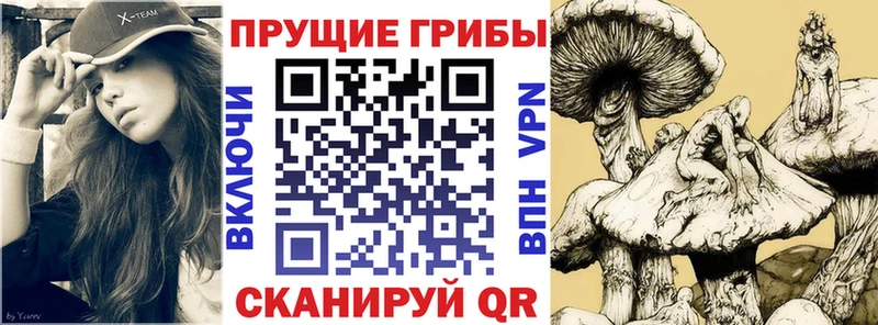 Галлюциногенные грибы мицелий  Купить где  Мариинск 